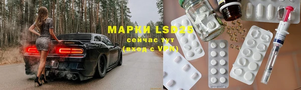 прущие грибы Алзамай