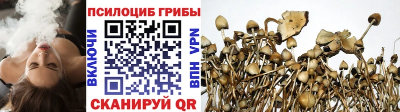 Галлюциногенные грибы GOLDEN TEACHER Светлоград