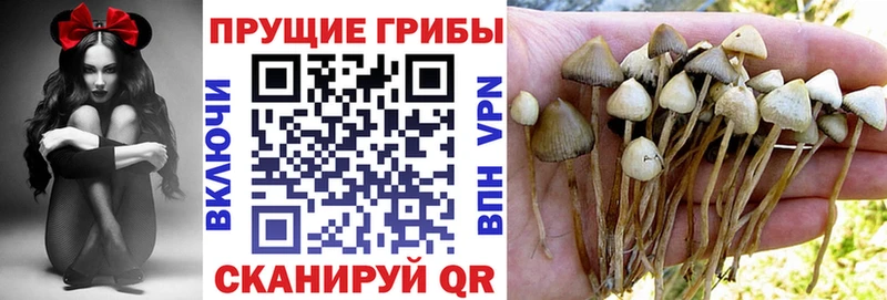 Галлюциногенные грибы Magic Shrooms  Светлоград 
